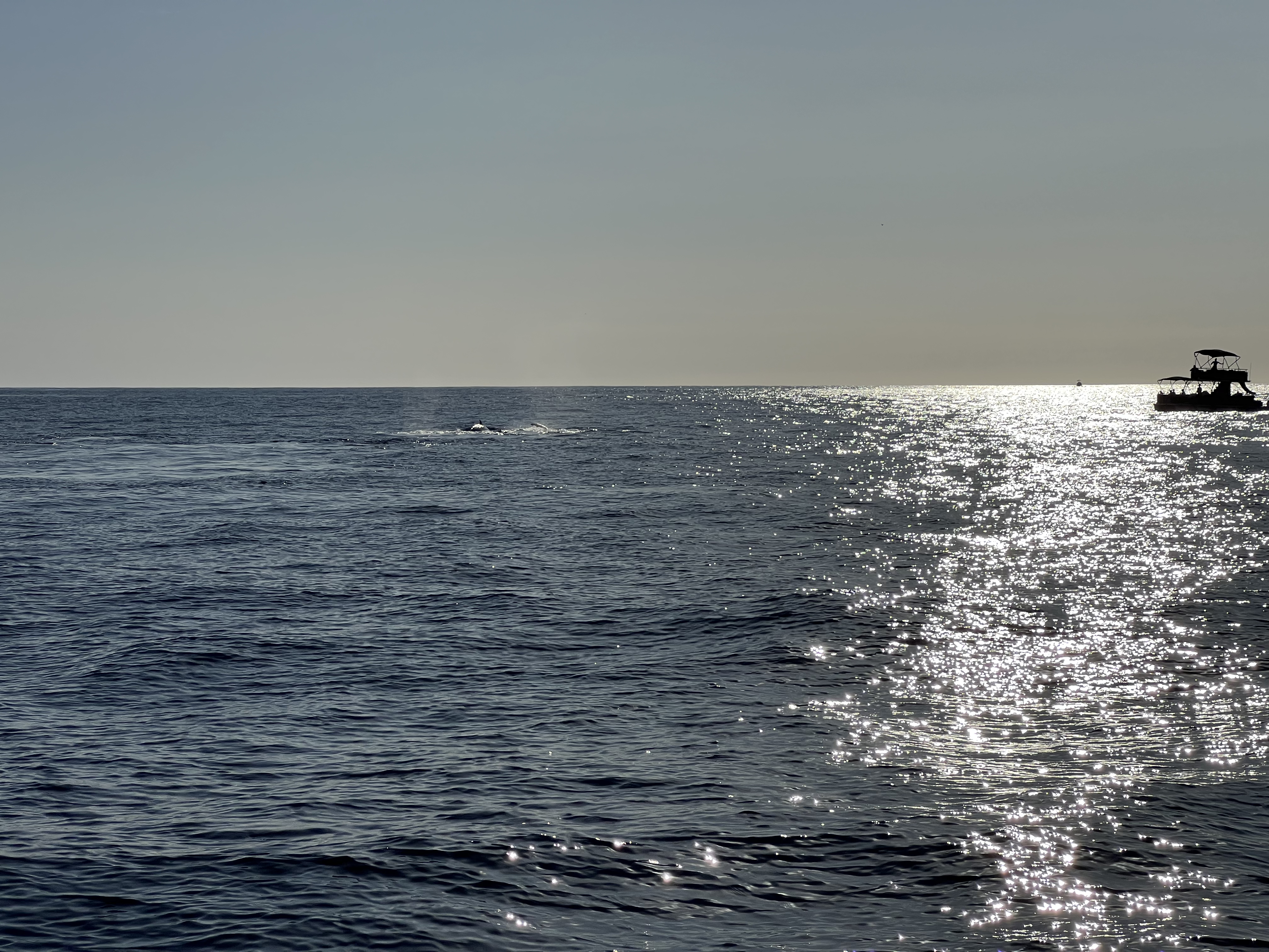 ./2024/13 - Cabo/IMG_4696.jpg